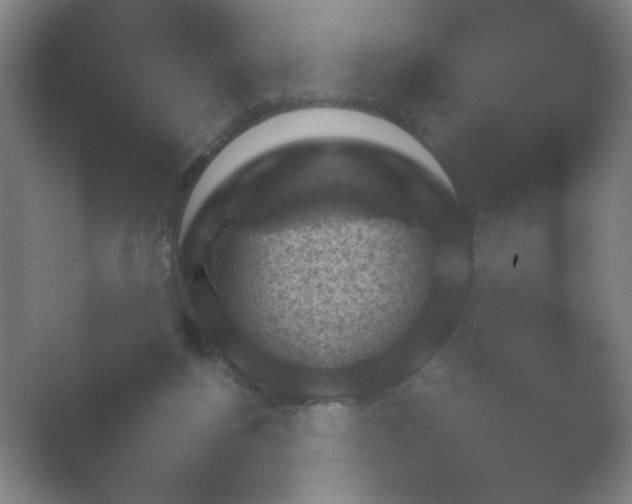 X0000054110168200508022108.png