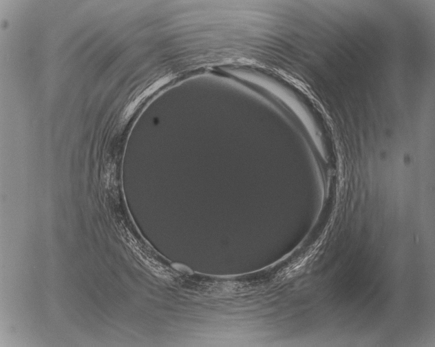 X0000054170881200508101757.png