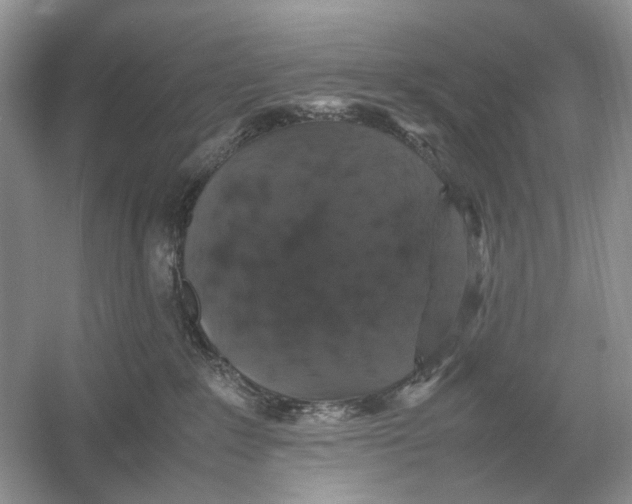 X0000054350235200508190136.png