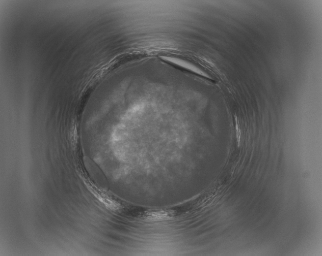 X0000055210405200508301327.png
