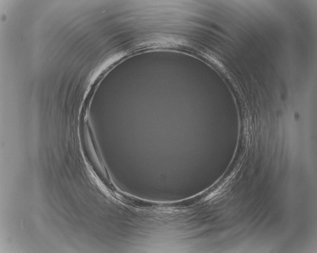 X0000054171034200508101754.png