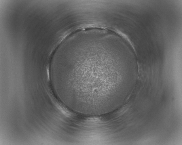 X0000054300061200508042321.png