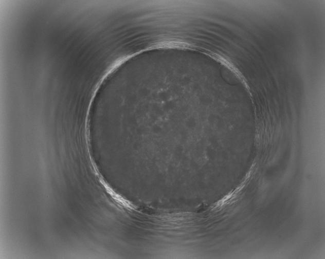 X0000055061037200508161640.png