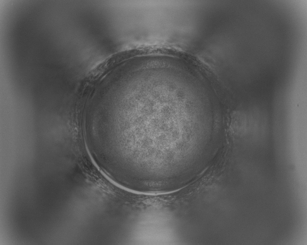 X0000052281015200507132023.png