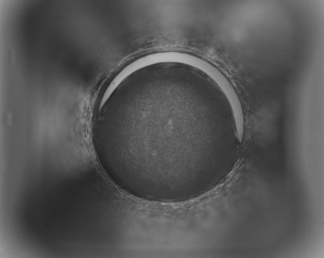 X0000044400002200412290443.png