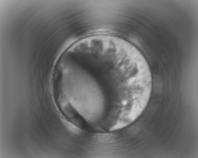 X0000053461474200508112144.png