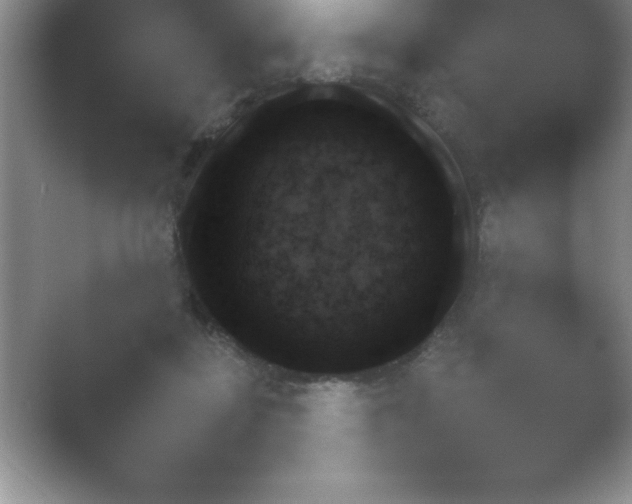 X0000054730363200508171858.png