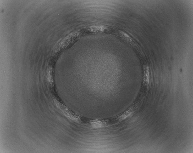 X0000054170616200508101801.png