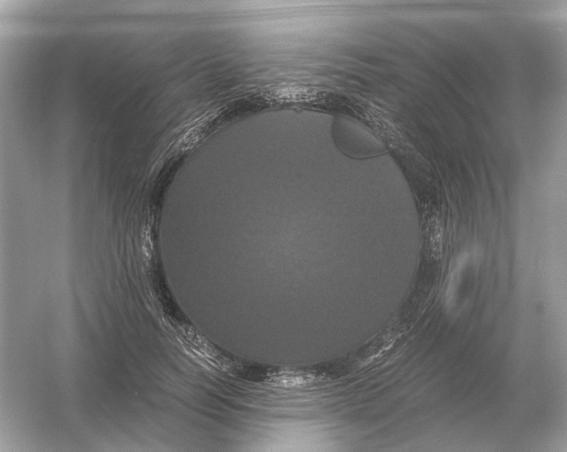 X0000054350746200508190128.png