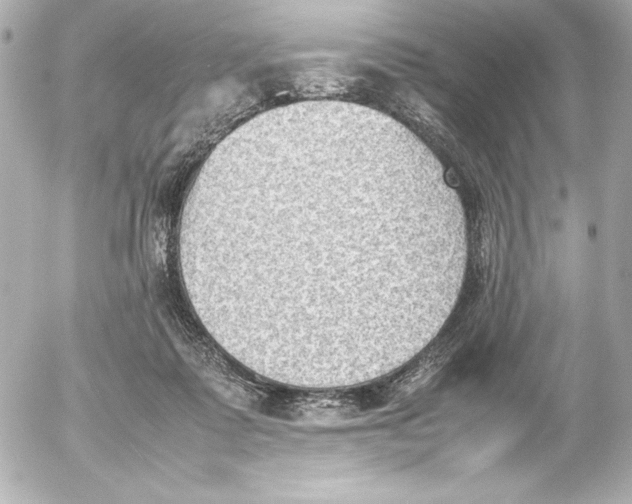 X0000054230315200508171519.png