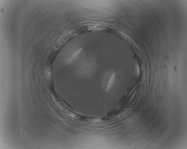X0000054170513200508101803.png