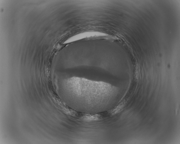 X0000054170569200508101802.png