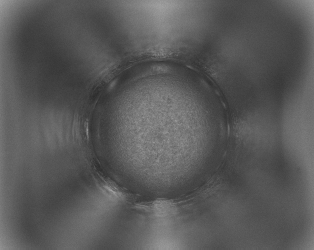 X0000052280095200507132040.png