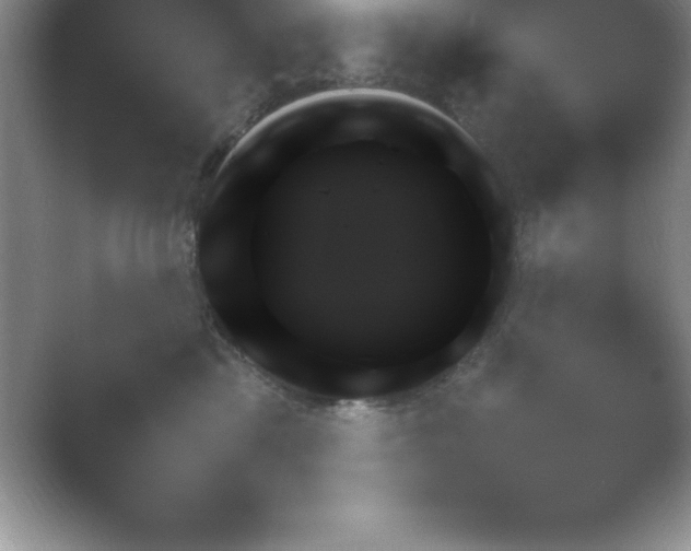 X0000054730425200508171857.png