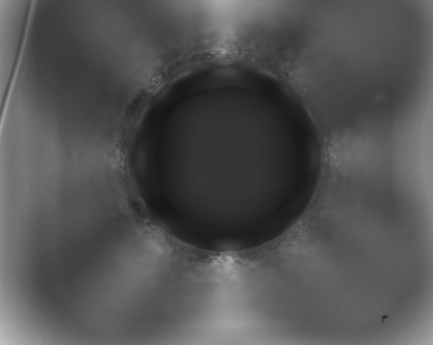 X0000054730611200508171853.png