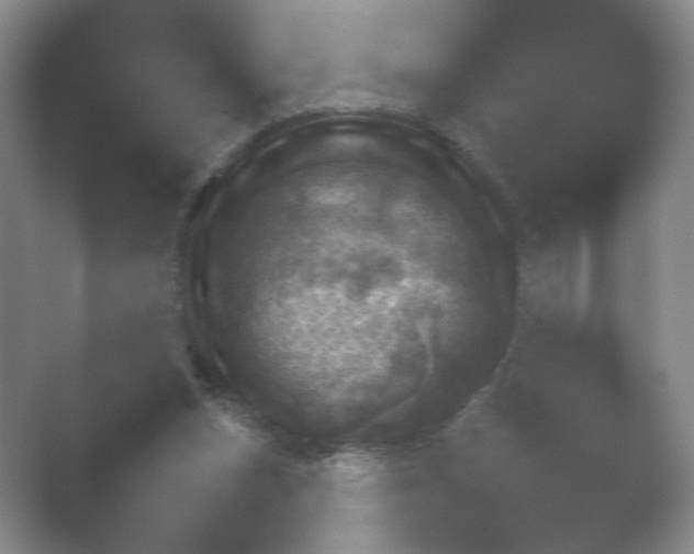 X0000052150159200507052000.png