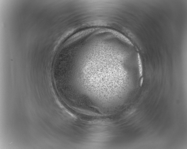 X0000054300625200508042311.png