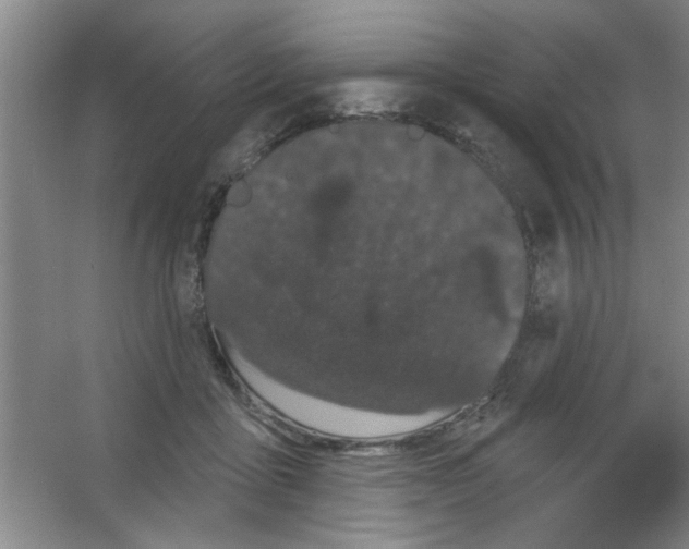 X0000053460411200508112202.png