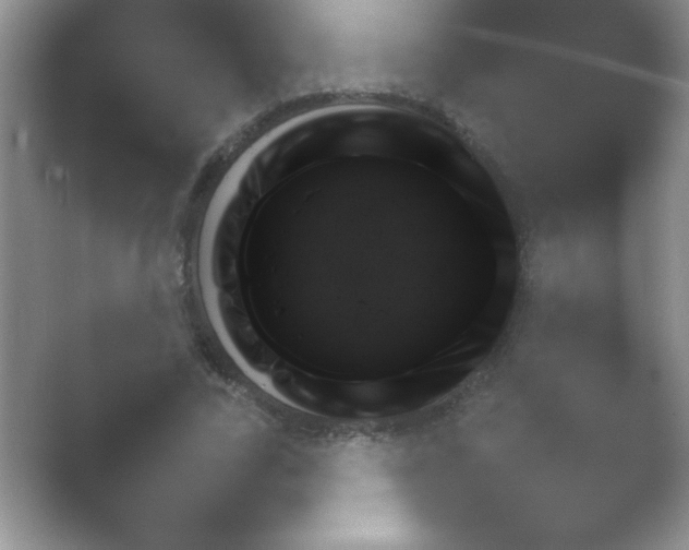 X0000054730731200508171851.png