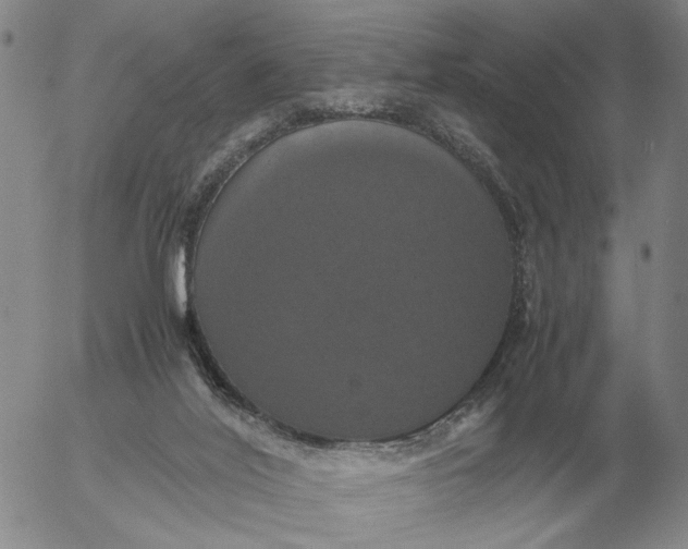 X0000054170020200508101811.png