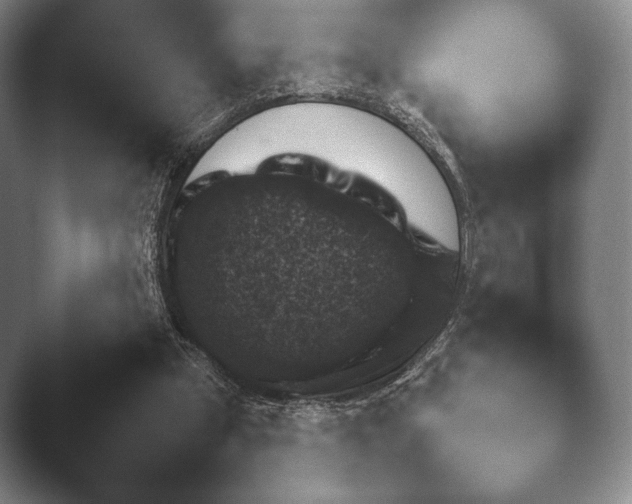 X0000045450249200502011704.png