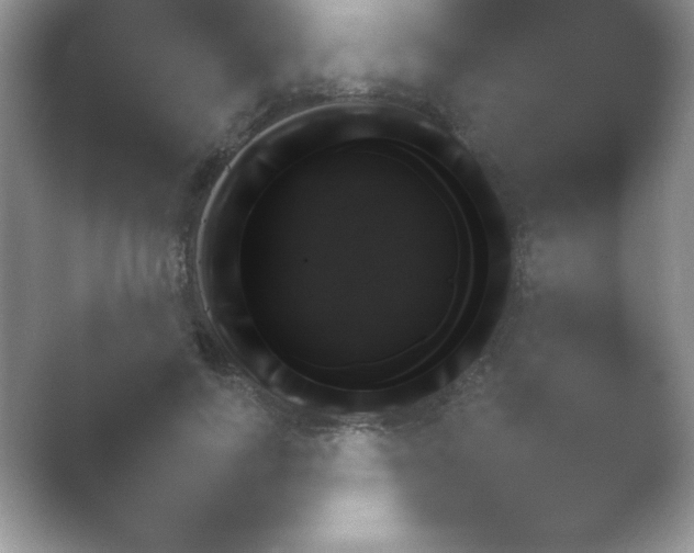 X0000054730743200508171851.png
