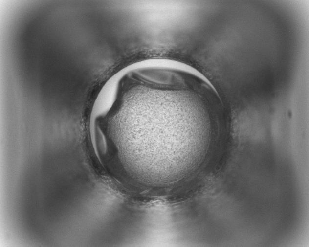 X0000047020498200502242112.png