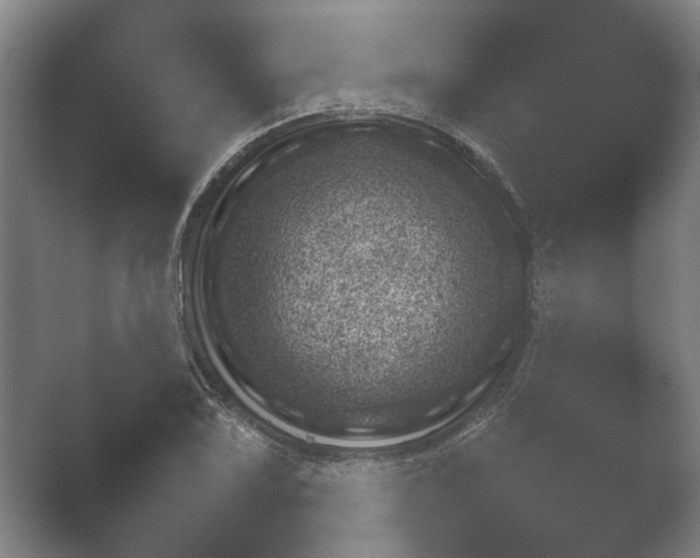 X0000052281075200507132022.png