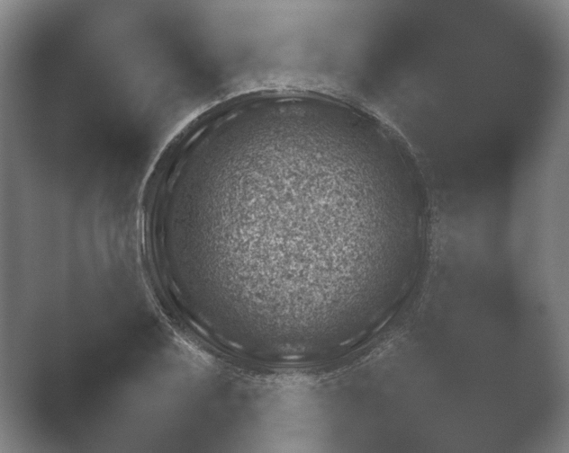 X0000052281079200507132022.png