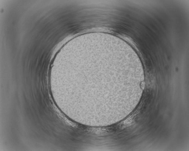 X0000054580910200508300057.png