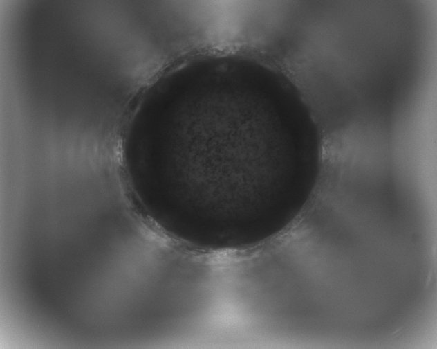 X0000054730623200508171853.png
