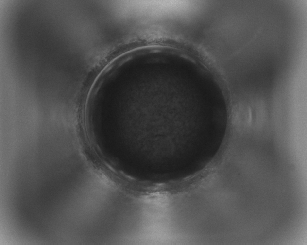 X0000054730447200508171856.png