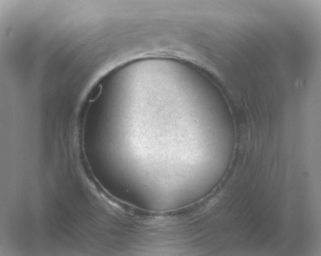 X0000054331506200508111905.png