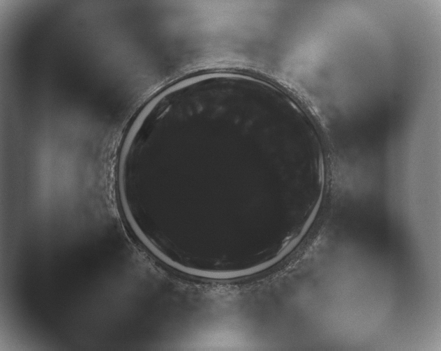 X0000041780945200411271517.png