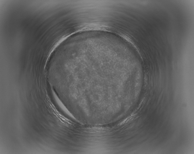 X0000055210925200508301318.png