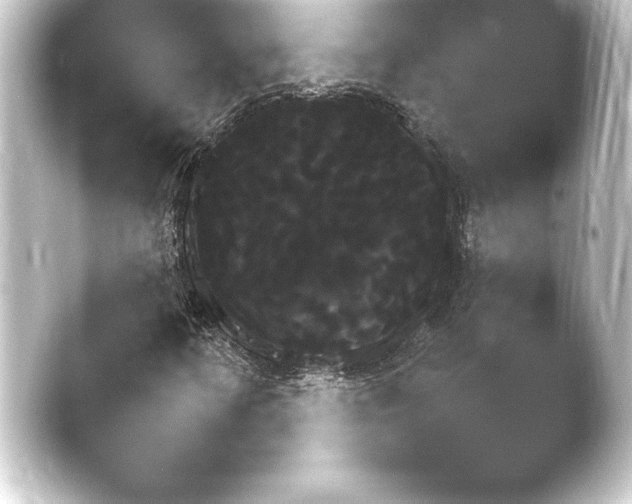 X0000046451346200502211614.png