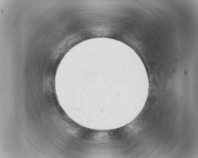 X0000055070162200508232338.png