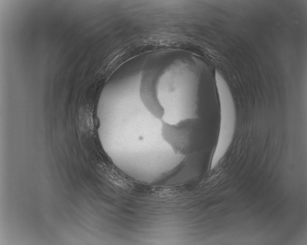 X0000055251155200509071608.png