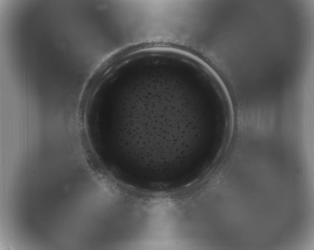 X0000054730628200508171852.png