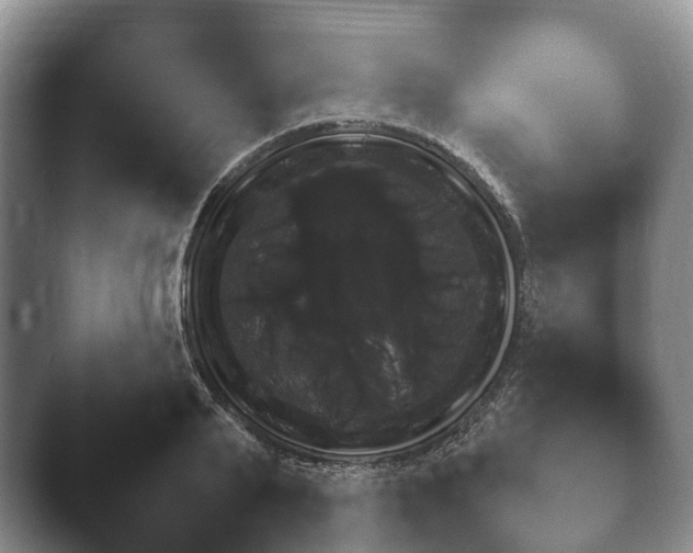 X0000045390791200501241401.png