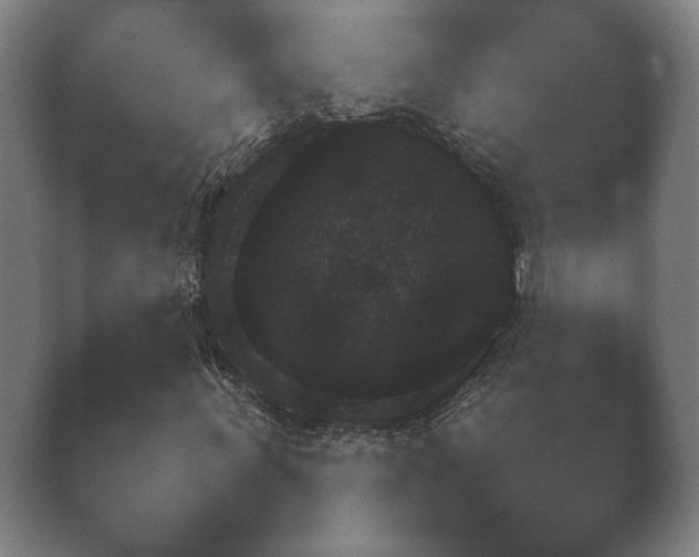 X0000038851011200410131822.png