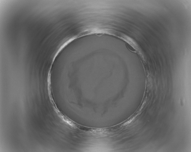 X0000054351198200508190120.png