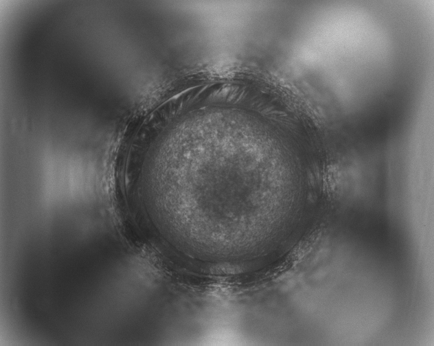 X0000046380504200502141048.png