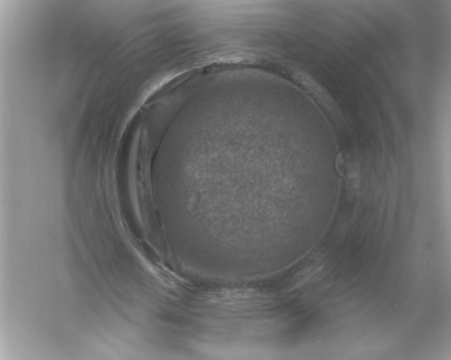 X0000054300626200508042311.png