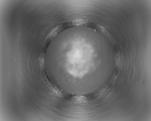 X0000054300427200508042315.png