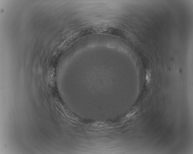 X0000054170867200508101757.png