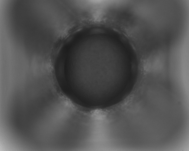 X0000054730326200508171858.png