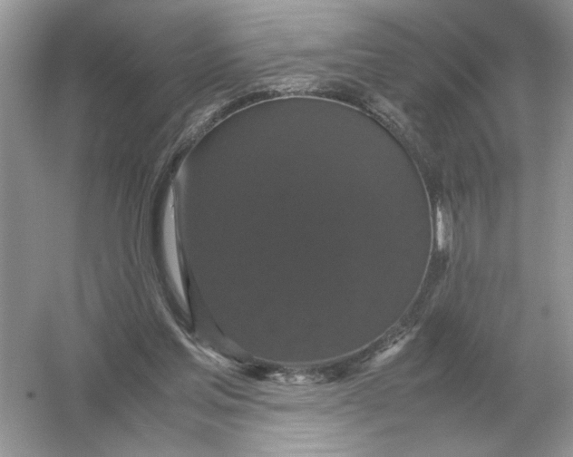 X0000054350205200508190137.png