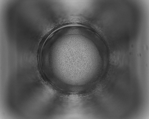 X0000042500394200411221318.png