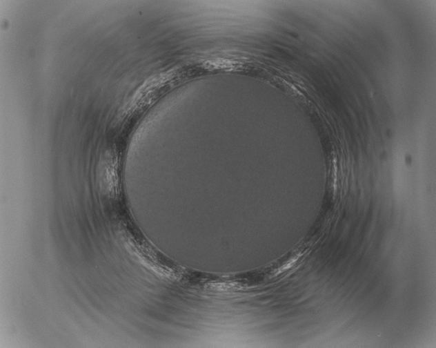 X0000054170408200508101804.png